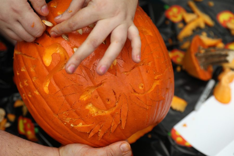Contestant Rebekah Byland adds pumpkin seed accents to her owl carving during the contest amid Nickelodeon's Booniverse halloween event Saturday, Oct. 21, 2017, at the Mall of America in Bloomington, Minn. (Anthony Souffle/Minneapolis Star Tribune/TNS)