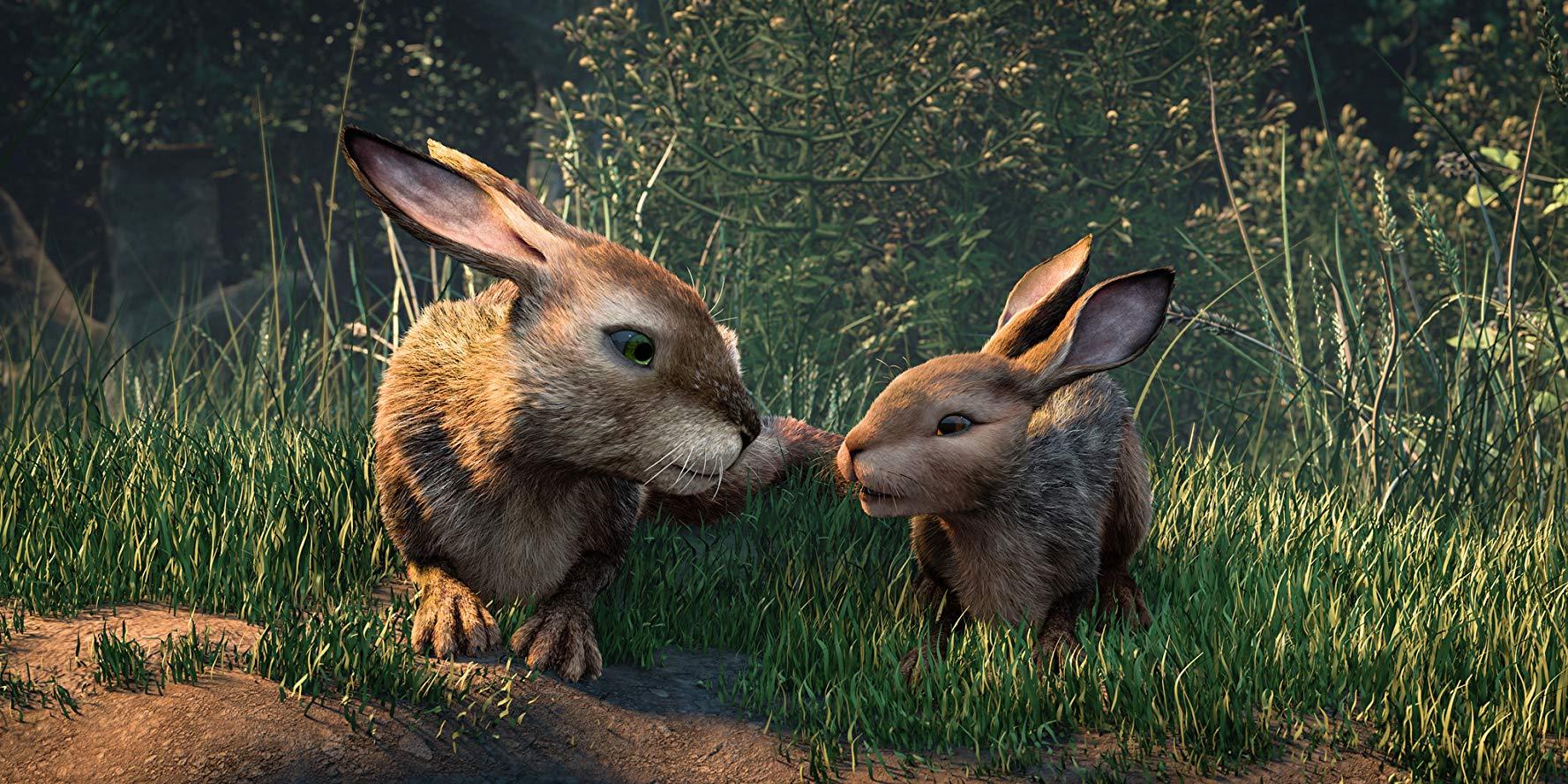 Watership Down: A New Take On A Childhood Favorite