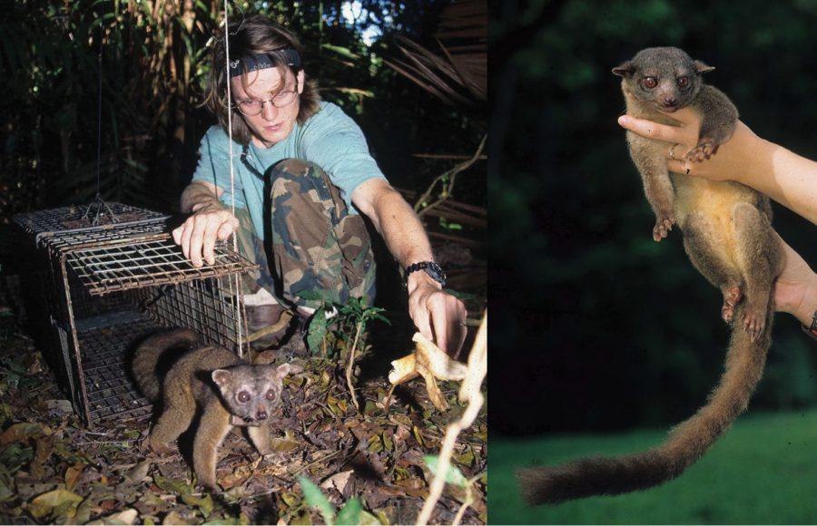 Zoologist Showcases Work With Camera Traps