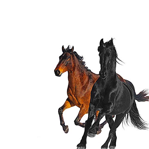 Lil Nas X Produces Genre-Breaking Song