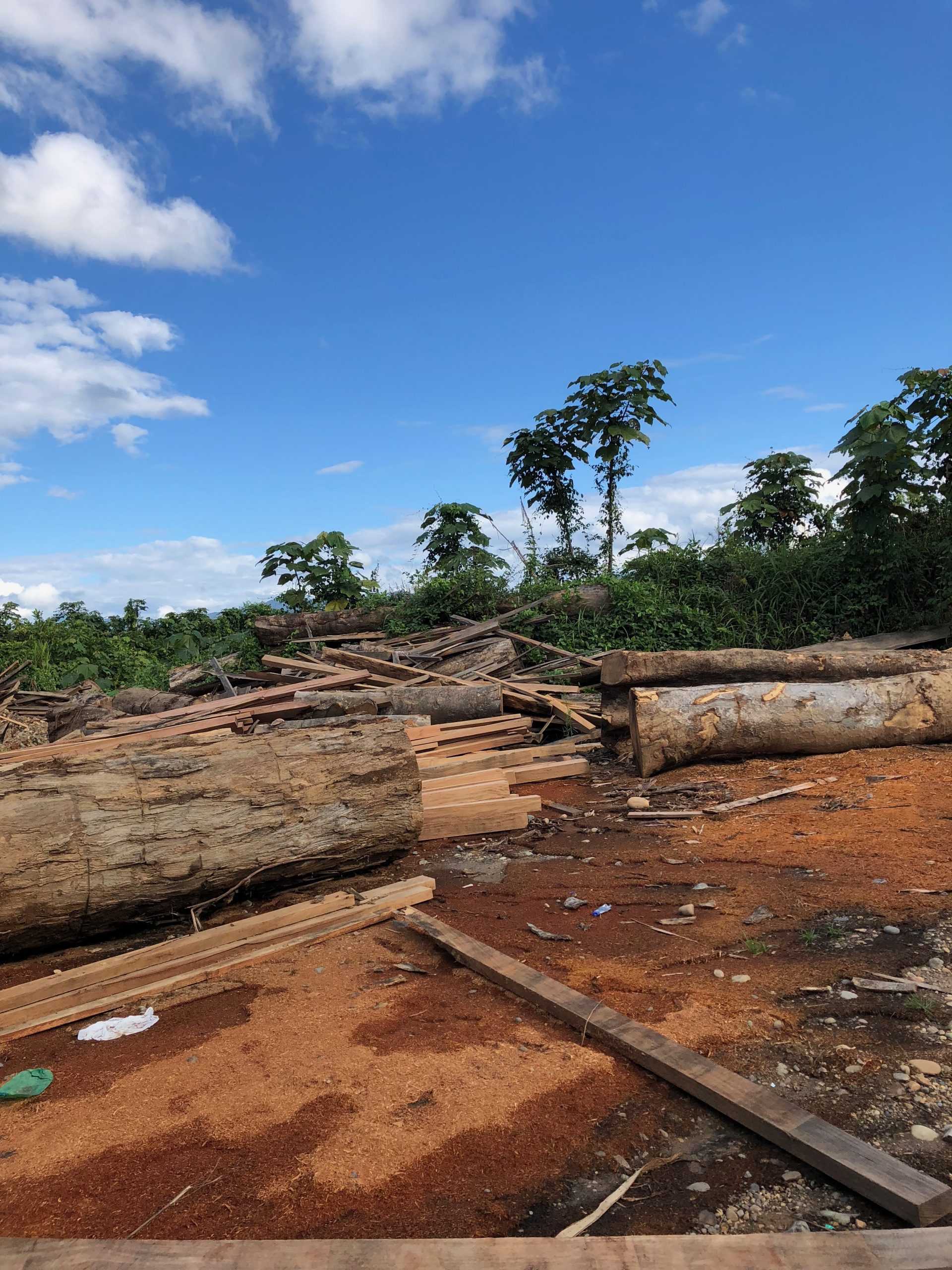 Madre de Dios Plan To Save The Amazon