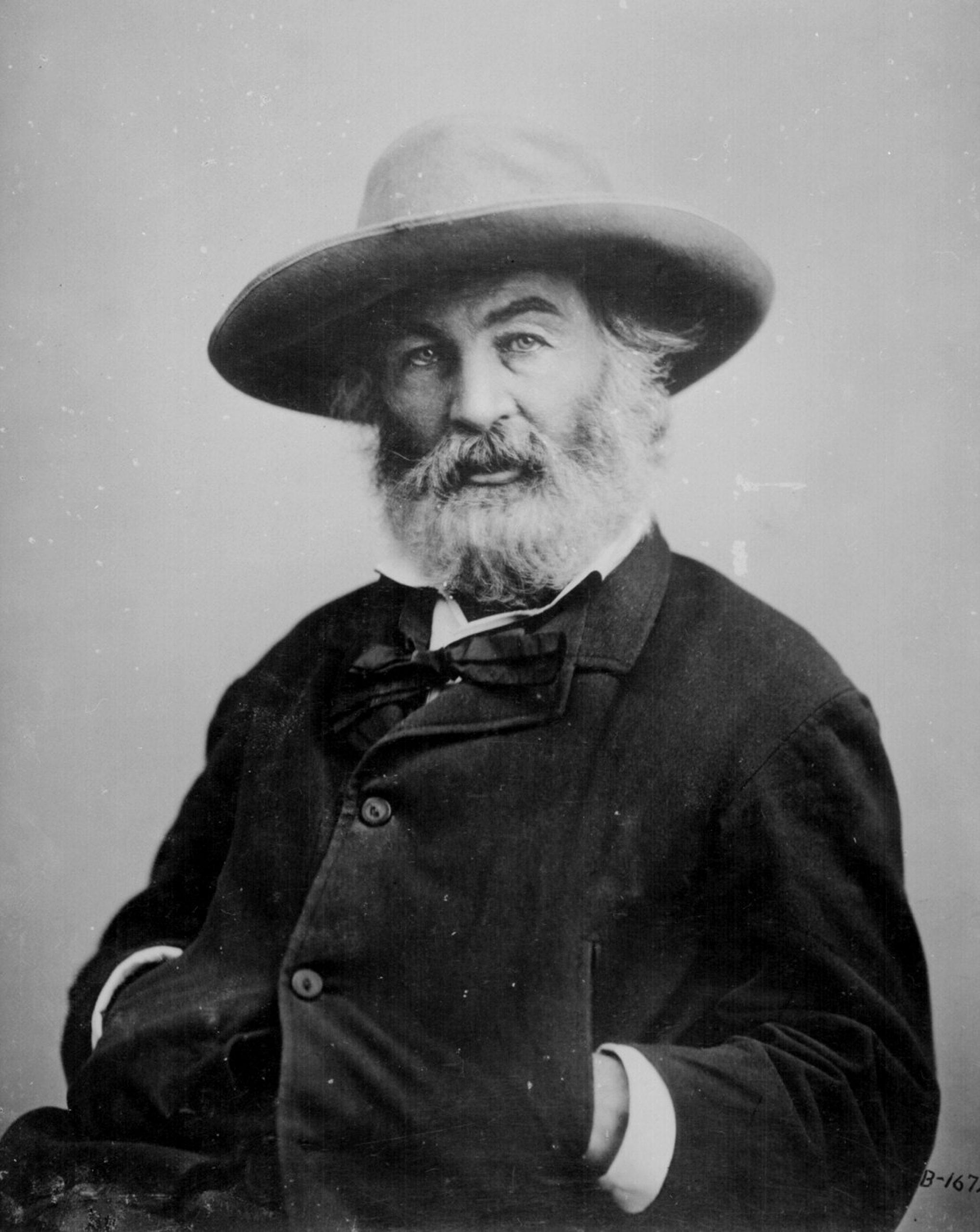 Portrait of poet Walt Whitman. (National Archives/MCT)