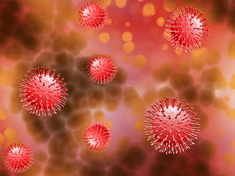 Keeping Up With The Coronavirus: Understanding the Basics