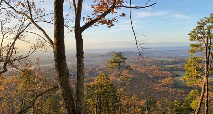 Pilot Mountain State Park is about a 20 minute drive from campus and showcases views of both mountains and the Winston-Salem skyline. The park has hiking trails and offers climbing opportunities as well (Maggie Burns/Old Gold & Black)