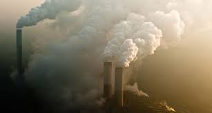 The causes of global warming have been observed most heavily within industrial manufacturing,
which sacrifices the health and safety of the planet’s inhabitants and ecosystems for profits.  