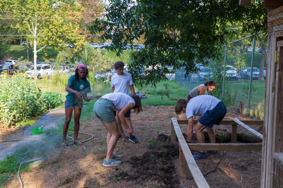 Volunteers, like those who come to help out at Campus Gardens, can put a dent in food insecurity in Winston-Salem, but certain gardens have greater impact than others. 