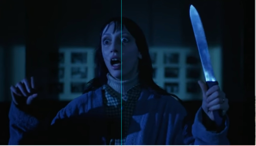 Shelley Duvall portrays Wendy Torrence in the  1980 film adaptation of Stephen King's bestselling novel, 