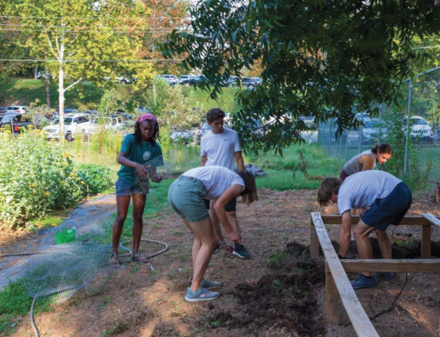 Students gather weekly at Campus Garden to volunteer.