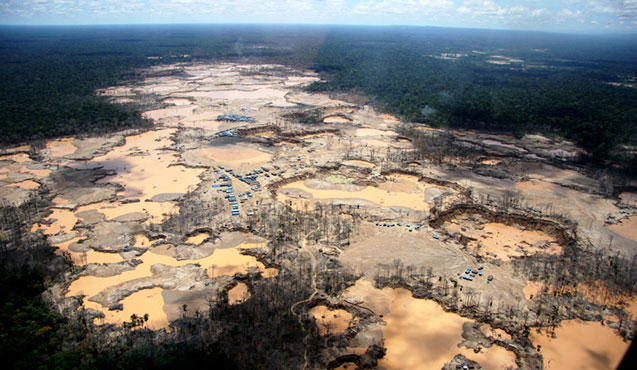 The Amazon Rainforest in Peru has been subject to deforestation.