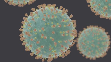 A miscroscope photograph of the virus that causes COVID-19.
