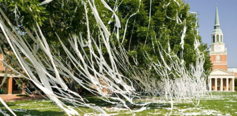 A photograph of toilet paper hanging from trees.