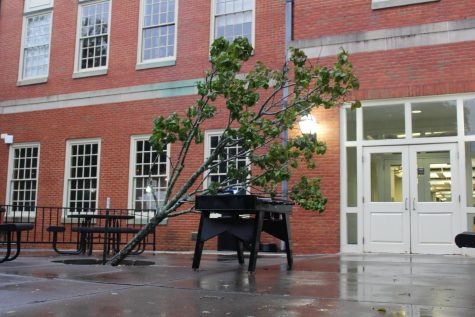 A tree in front of Benson University Center leans sideways on Friday morning after strong winds knocked it over.