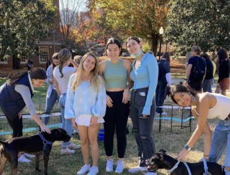 Students at last year’s Puppies on the Quad event came out to help raise funds for the Yadkin County Animal Shelter and relieve stress.