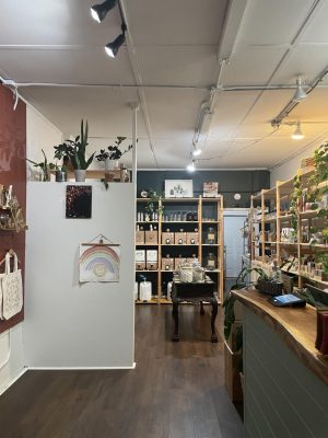 Earth Sage is divided into multiple sections — laundry, kitchen, cleaning, beauty and health are all broken down into specific shelves and spaces within the store. 