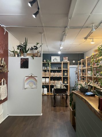 Earth Sage is divided into multiple sections — laundry, kitchen, cleaning, beauty and health are all broken down into specific shelves and spaces within the store. 