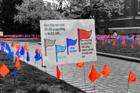 Flags on Tribble Courtyard represent Americans struggling with mental health challenges.