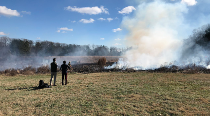 Members of the Environmental Dynamics Lab conduct a control burn as part of their research on fire’s impact on the health of vegetation.