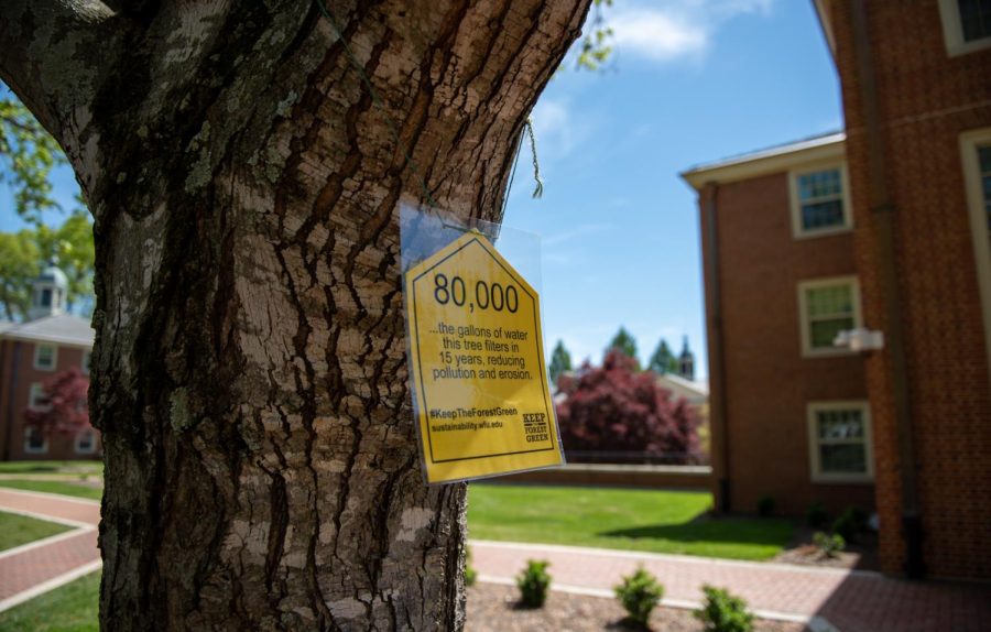 Signs posted on trees around campus encourage Wake Foresters to keep the forest green.