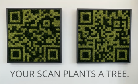 A Wake Forest alumna hopes to combat deforestation with QR codes.