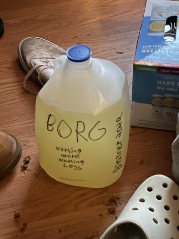 What is a Borg Drink? Inside Gen Z's Gallon Jug Drink of Choice