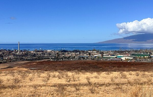 The lands of Lahaina are damaged as a result of wildfires (Courtesy of Wikimedia Commons).
