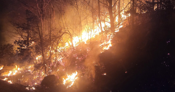 The state of emergency declared due to multiple wildfires around North Carolina will last until Dec 20. The emergency area includes Forsyth County (Courtesy of North Carolina Lawyers Weekly).