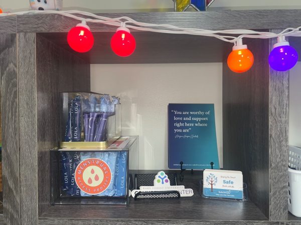 Dispensaries with an assortment of menstrual products have been placed in various buildings across campus such as the LGBTQ+ Center in Benson University Center (pictured).
