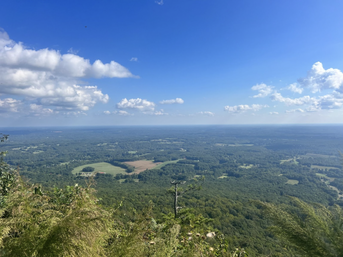 Pilot Mountain is a great place to visit if you are looking for a hike or looking to get away for the day.