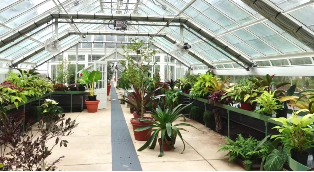 The renovated greenhouse returns to the spirit of the original greenhouse owned by R.J. and Katharine Reynolds with a glass roof whilst also showcasing the latest technologies like automatic shades.