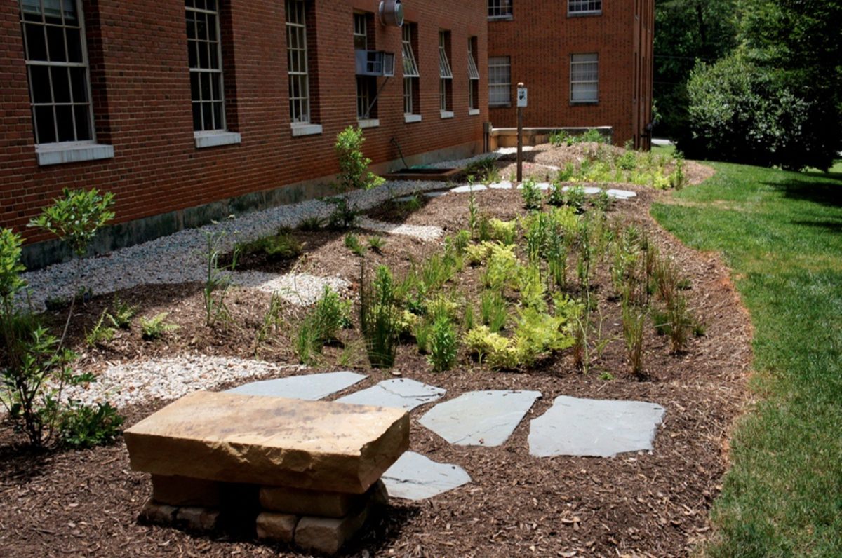 The Winston Hall rain garden was created to prevent erosion and runoff down the hill behind the building. (Courtesy of the Wake Forest University Office of Sustainability)