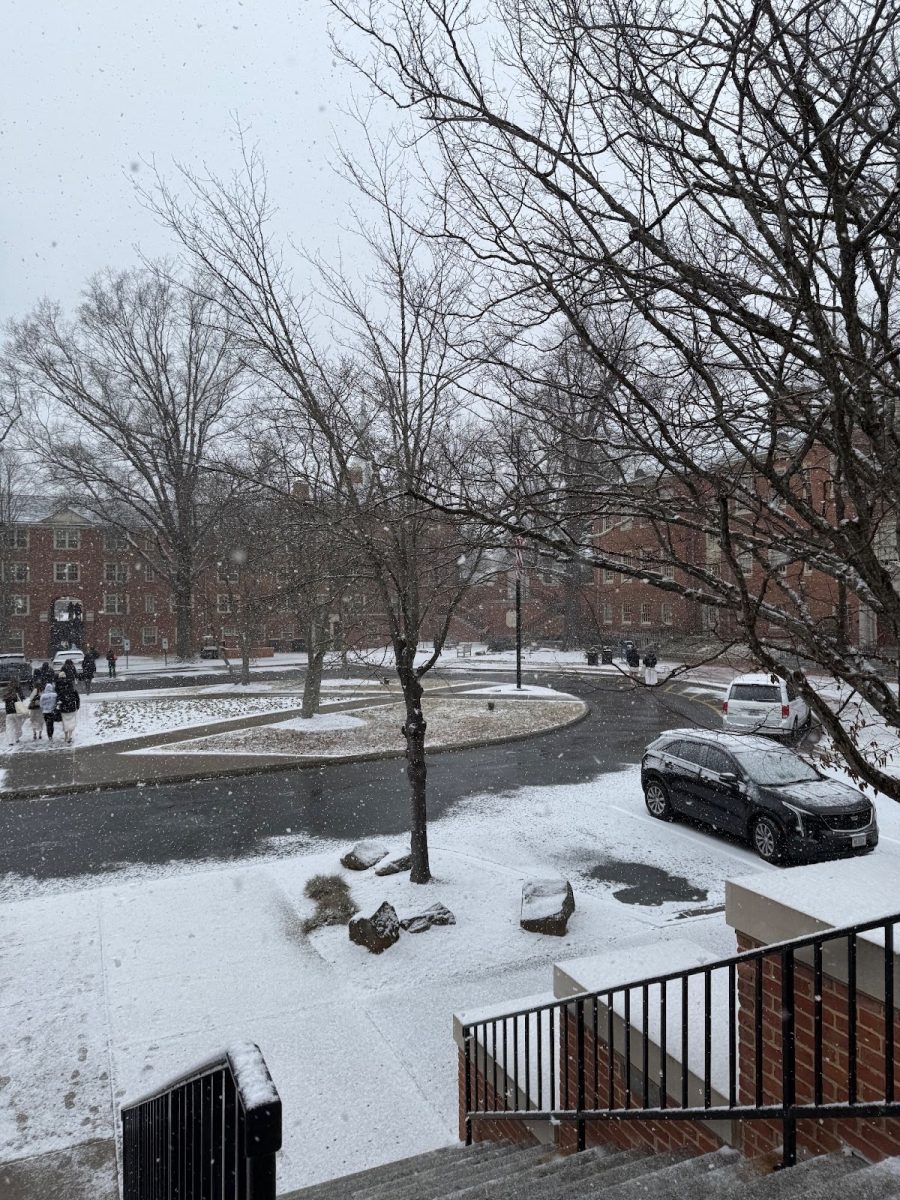 Snow at Wake Forest is rare, but maybe that’s not a bad thing.