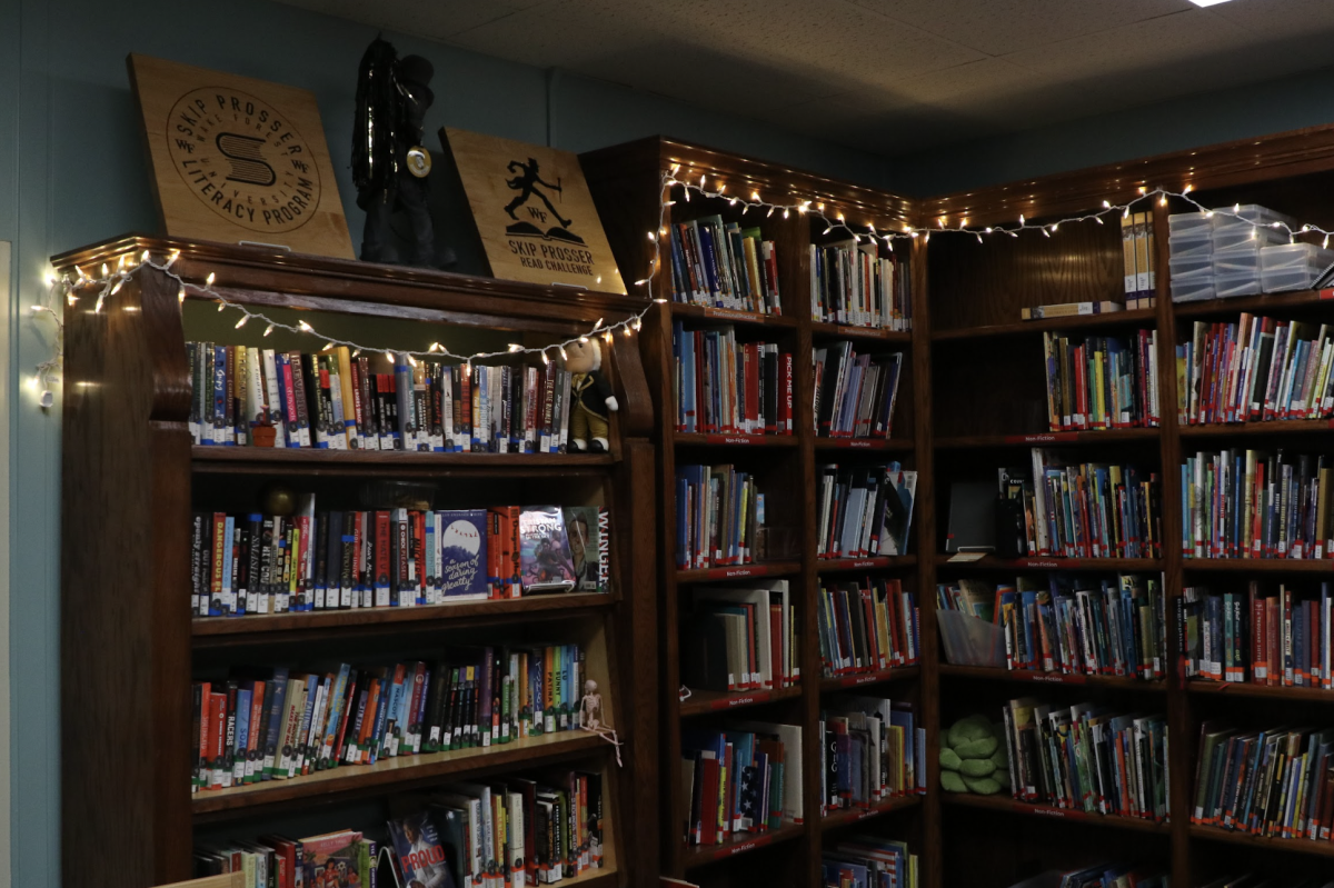 "A lot of people assume they can’t check out books from here because they think it’s all too juvenile"