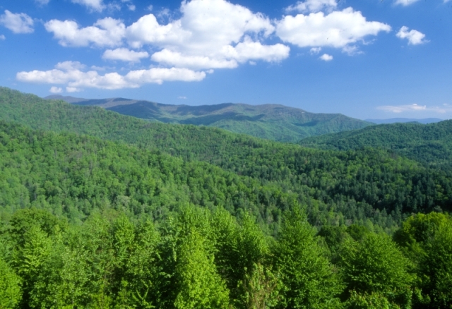 The Nantahala and Pisgah National Forests are the two largest national forests in North Carolina and host seven million visitors per year.
