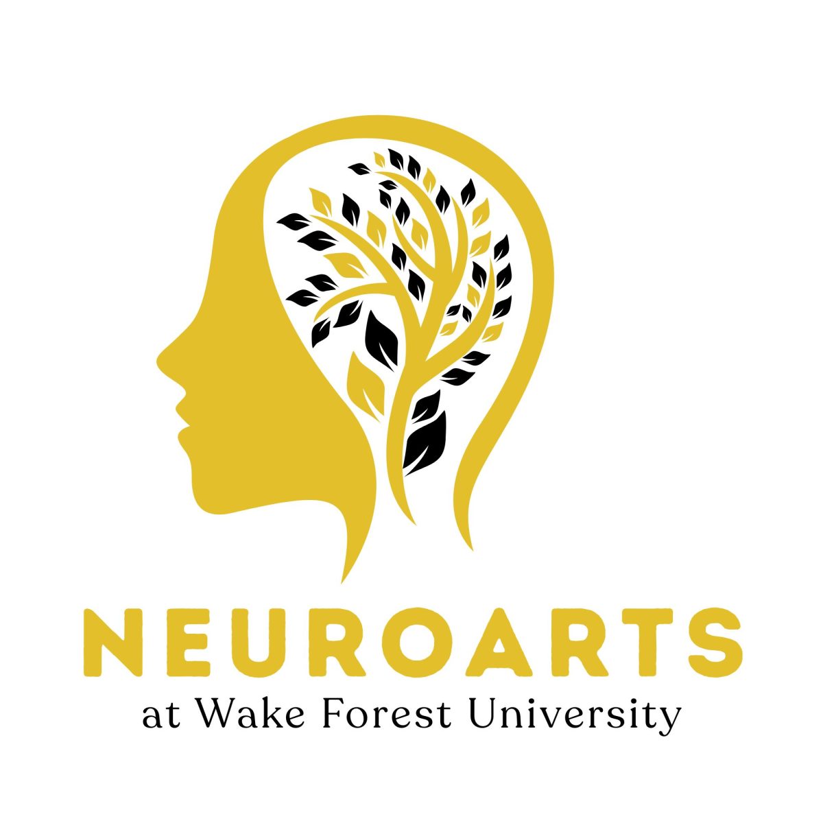 Wake Forest has joined the Neuroarts Blueprint Initiative, launching a new interdisciplinary lab to study how the arts can promote brain health. 