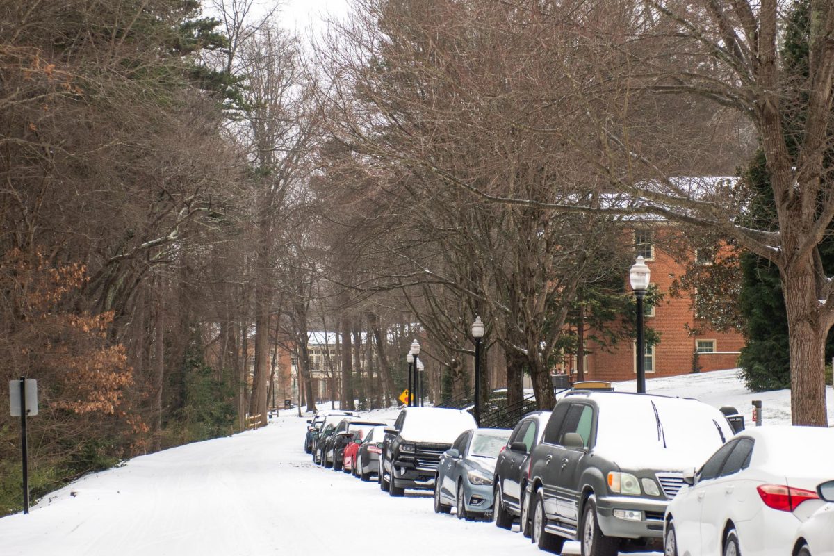 Inclement weather caused Wake Forest to shutter in-person classes for almost two weeks in mid-January. The back-to-back storms affected not only the Reynolda campus but also the broader community of Winston-Salem.