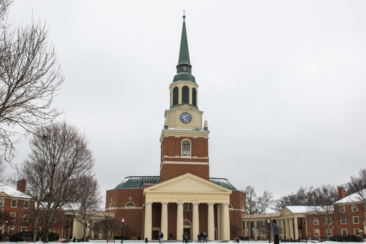 Wake Forest has been getting mounds of snow. This is your guide to beat the boredom and avoid going stir-crazy.